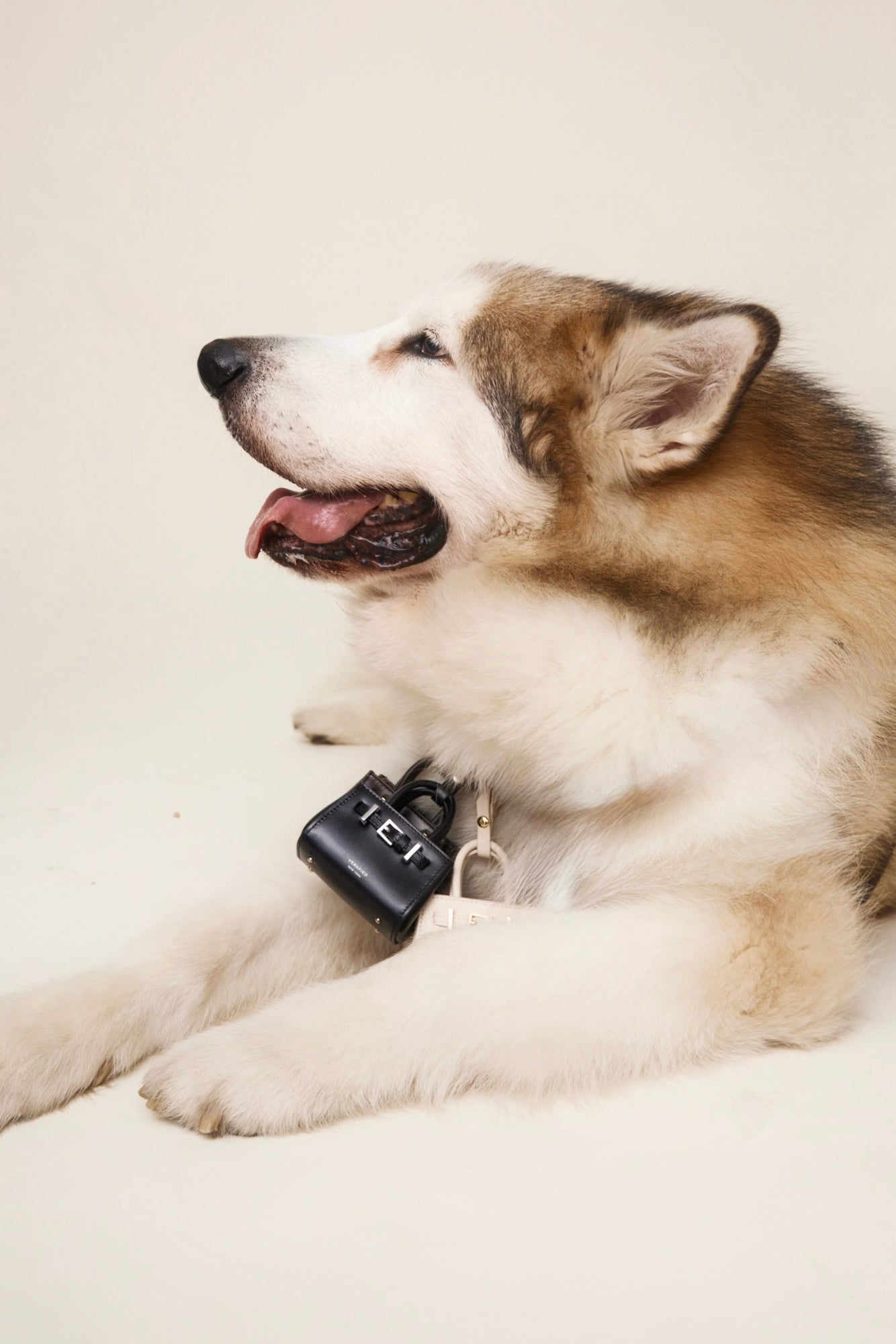 Noir Book Tote Charm