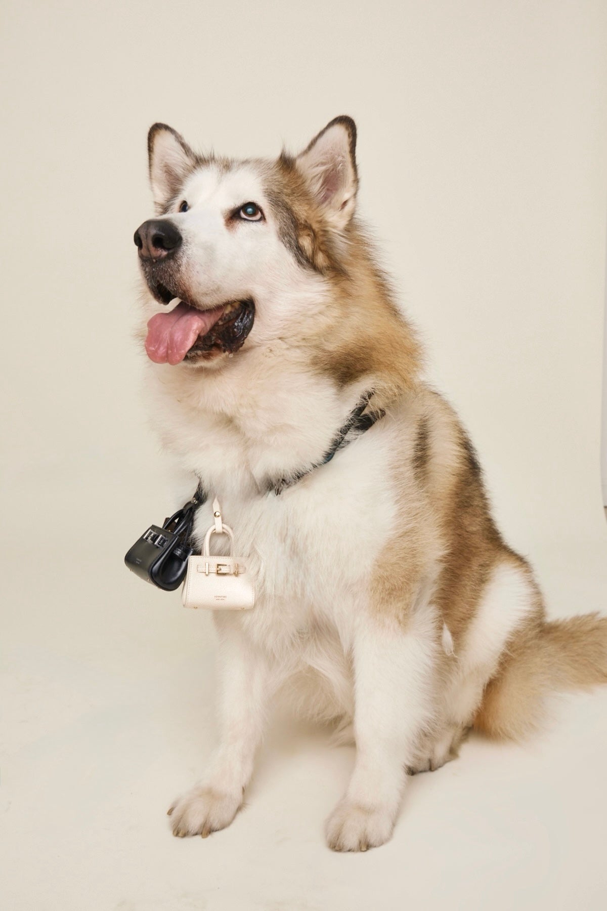 Noir Book Tote Charm