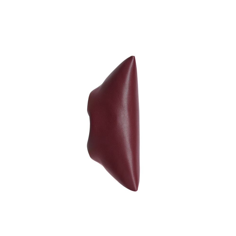 Burgundy Ring Handle Bag